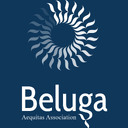 Beluga Aequitas Association